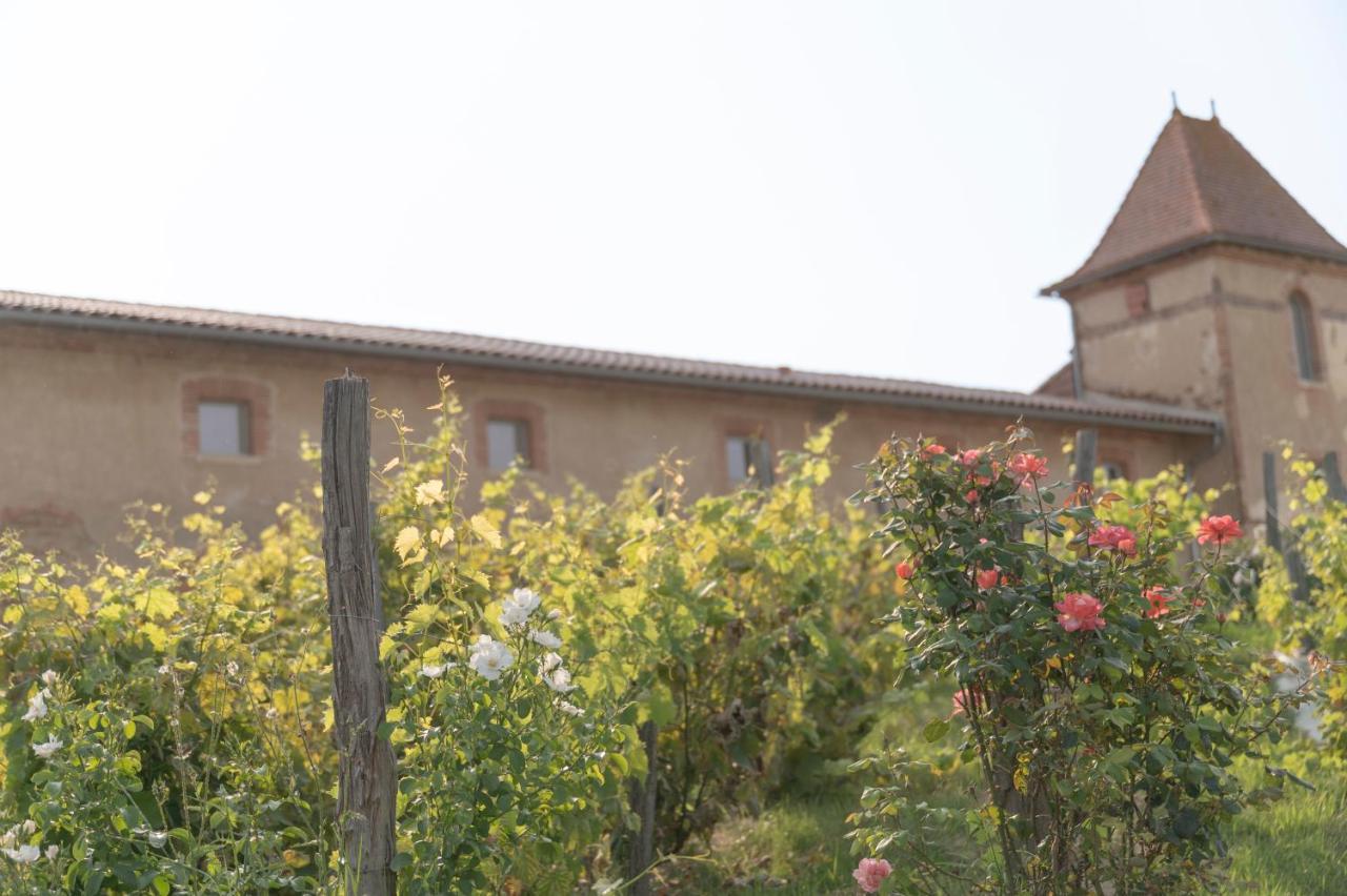 Hotel Escons Domaine De Charme Saint-Sulpice-sur-Leze Exteriér fotografie